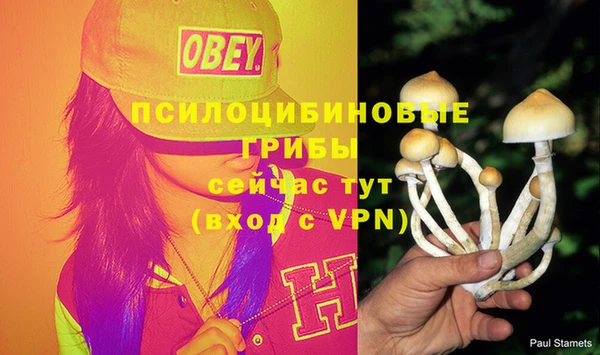соль курить ск Алзамай