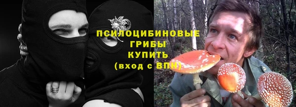 соль курить ск Алзамай