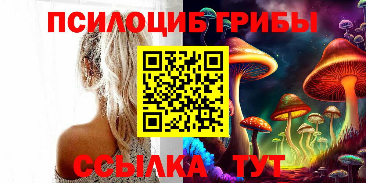 Галлюциногенные грибы GOLDEN TEACHER  Вход с VPN  Лиски  Галлюциногенные грибы Magic Shrooms 