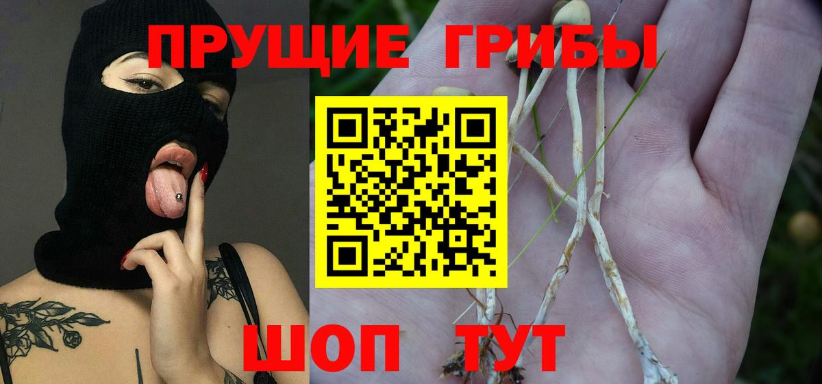 Галлюциногенные грибы мухоморы Лиски